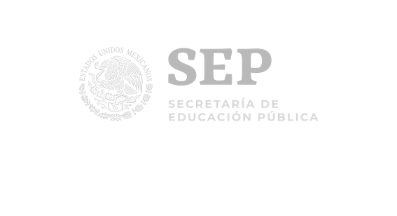 Descripción de la imagen